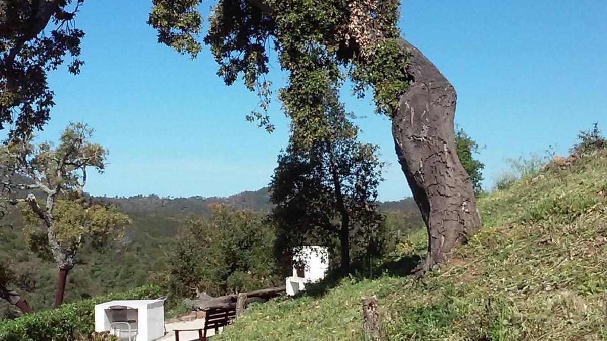 Sao Bras de Alportel Cottage | Fully detached cottage in its own grounds with very private heated pool