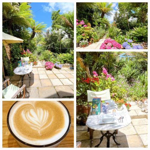 Roath Bed & Breakfast | Funky Urban Jungle