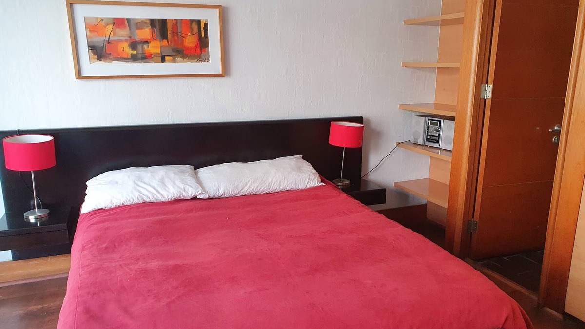 Santiago Apartment | Furnished apartment with equipped terrace and air conditioning.