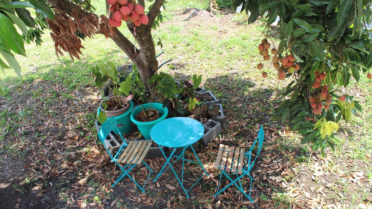 Ravine des Cabris House | Furnished champacs F3 calm and fully equipped including 2 bedrooms, veranda, parking,