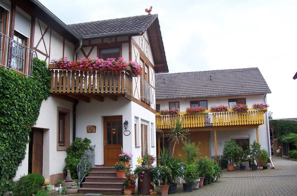 Schwanau Apartment | Gästehaus Brunhilde