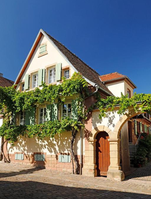 Rhodt unter Rietburg House | Gästehaus Zum Weinbauer