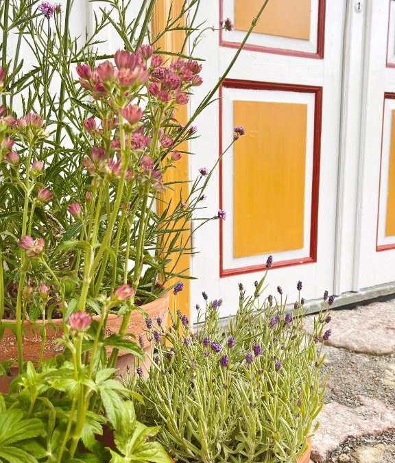Lottorp Bed & Breakfast | Gårdsfrun B&B