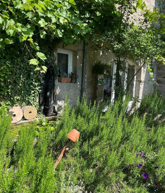 Sainte-Genevieve-sur-Argence House | Gîte au cœur de l'Aveyron