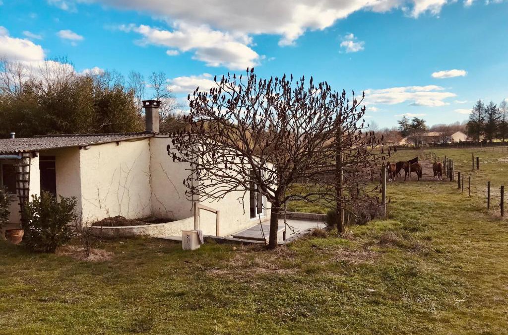 Eygurande-et-Gardedeuil Apartment | Gîte de l’écuyer