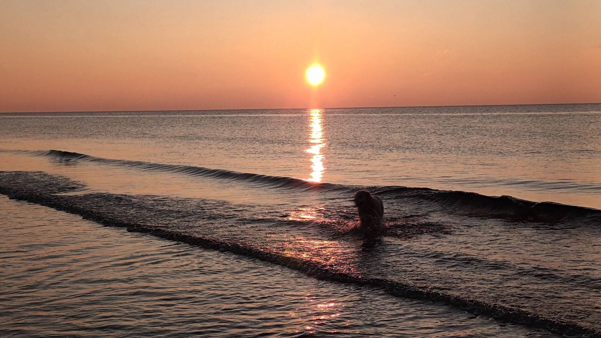 Muneville-sur-Mer House | Gîte de Lafoucardière 8 Personnes