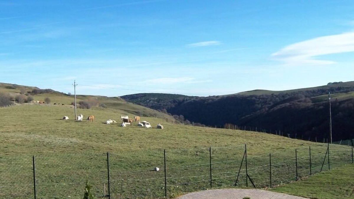 Anzat-le-Luguet House | Gîte de Vins Haut - Anzat-le-luguet