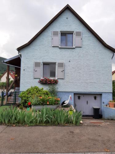 Kaysersberg-Vignoble Apartment | Gîte les chiwawas d'Alsace