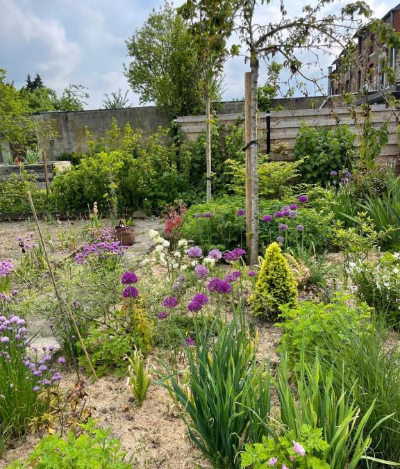 Felenne House | Gîte Les Pimprenelles Beauraing