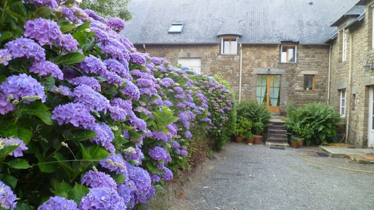 La Rochelle-Normande Cottage | Gîte, Mt St Michel (30 '), Granville Carnival (15')