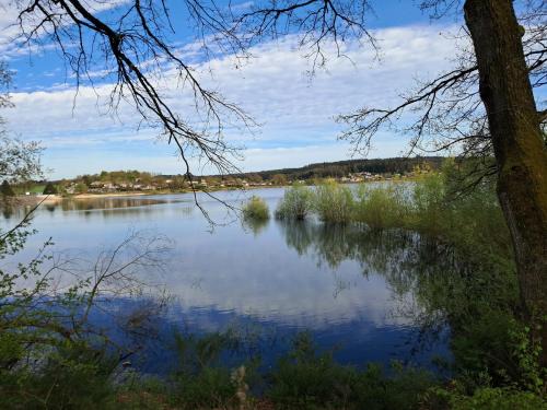Chaumousey House | Gîte spacieux près du lac avec spa, aire de jeux, wifi et activités variées - FR-1-589-767