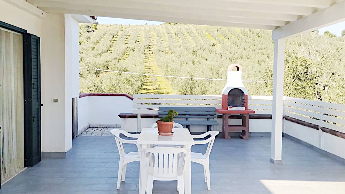 Mandrione Apartment | Günstig, Neue Wohnung in Ruhigen Olivenhain. Nur 3 km vom Strand Entfernt