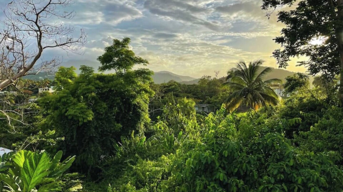Mata de Platano Apartment | #G Tropical Rainforest Retreat Ocean View w/hottub