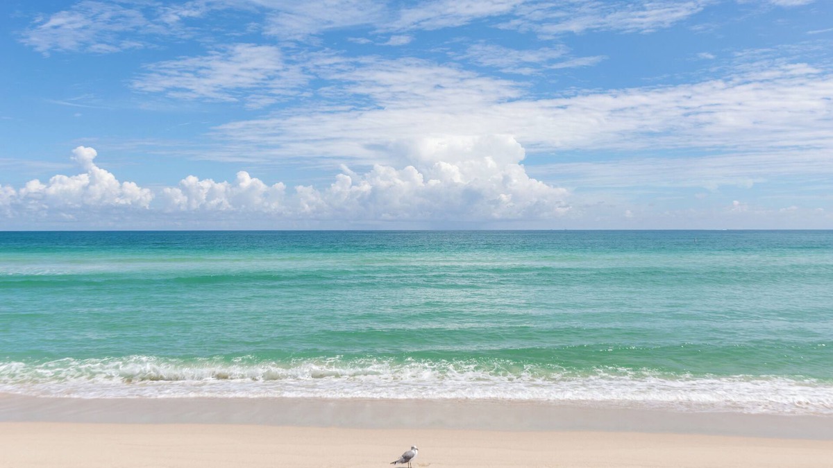 Mid Beach Apartment | GA Ocean Villa