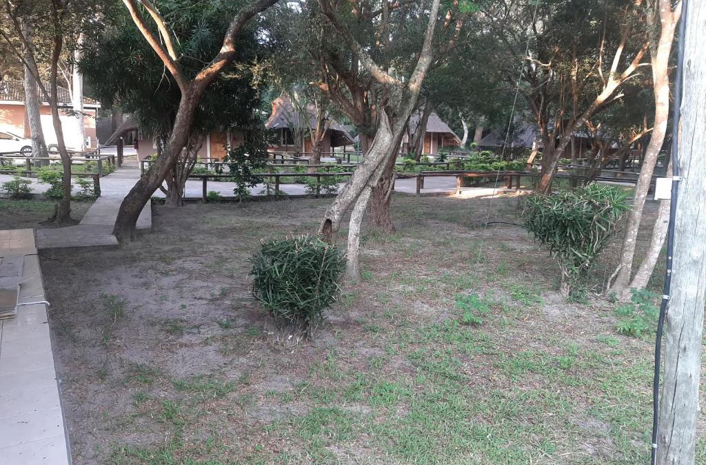 Kosi Bay Cabin | Galaxy Forest Lodge