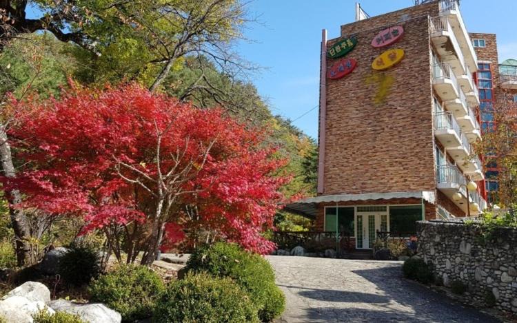 Hongcheon House | Galcheon Family Resort
