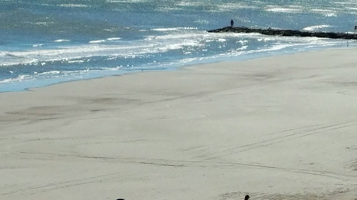 San Jacinto Condo | GALVESTON TEXAS