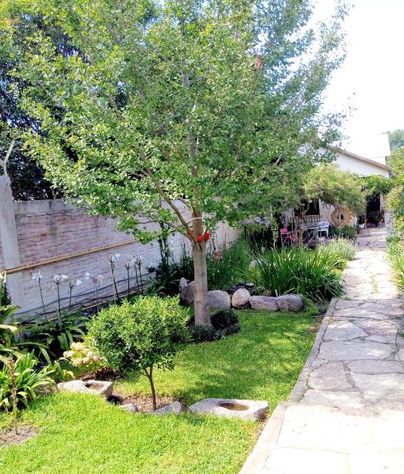 La Cumbre Apartment | Garden Atelier Alojamiento Eco Friendly