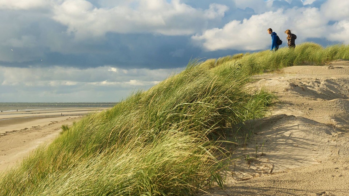 Zandvoort Cabin | Garden House, op 150 met van het Strand en Dorp