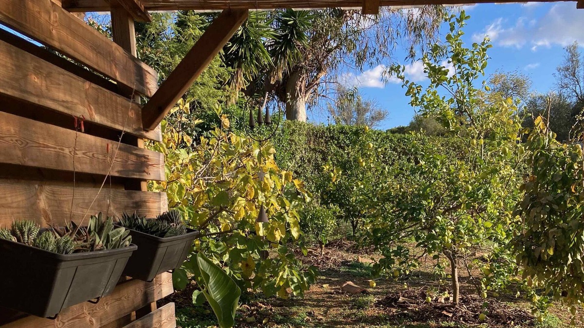 Olhao Cottage | Garden House "Orchard Island"