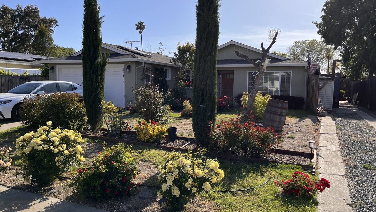 Livermore Apartment | Garden Paradise House - WFH Corporate