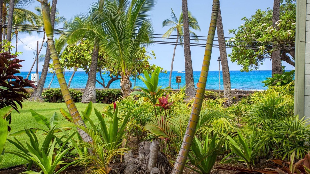 Historic Kailua Village Condo | Garden View Studio - Kona Islander Inn Condos Condo by RedAwning