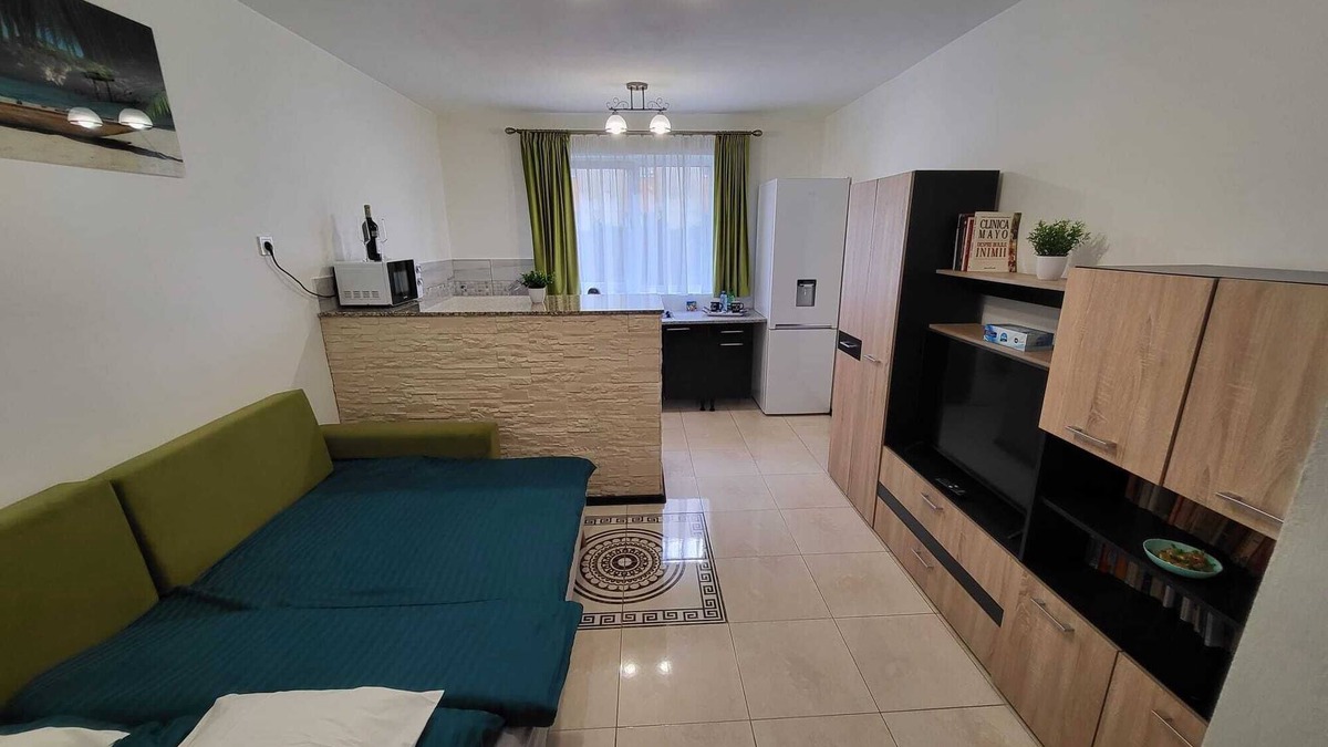 Sibiu Apartment | Garsoner Green Home