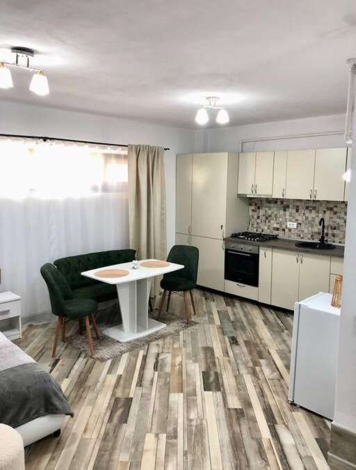 Ramnicu Valcea Apartment | Garsonieră- Bulevard Dem Rădulescu