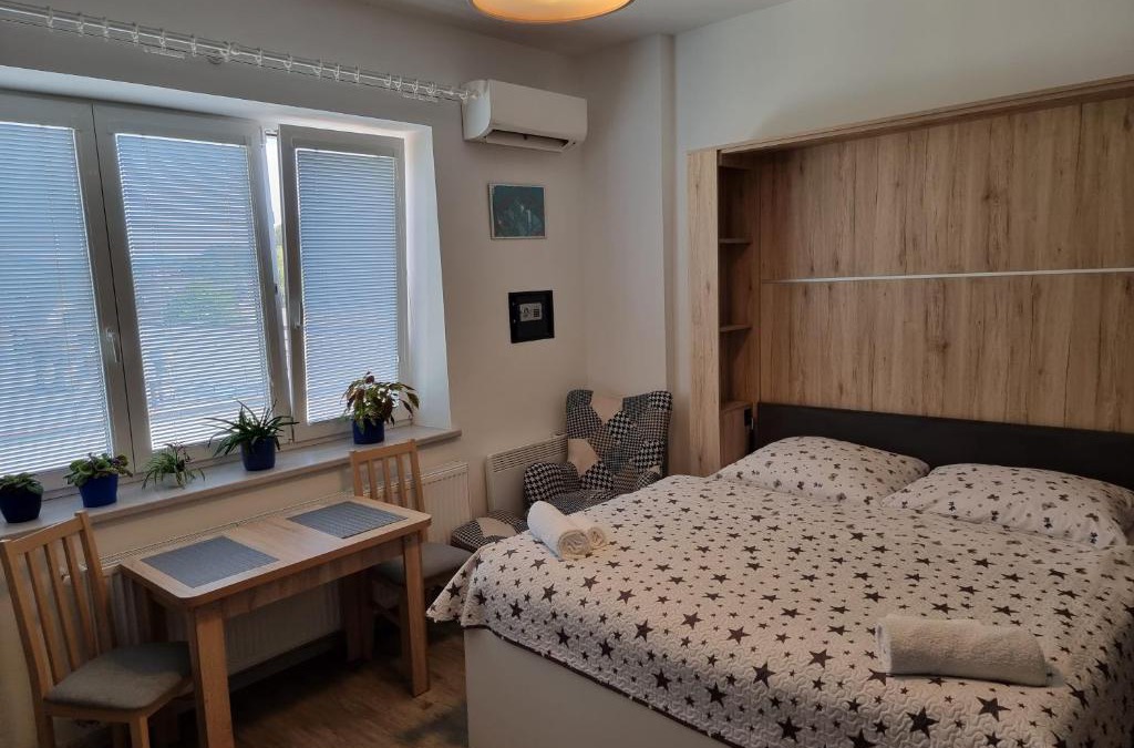 Decin Apartment | Garsoniera DUKLA 289