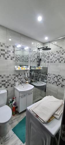 Petrosani Apartment | Garsoniera in regim hotelier "Raul"