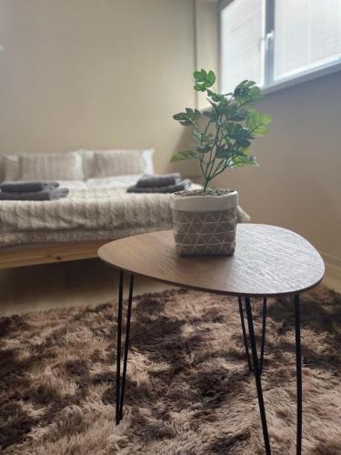 Sahy Apartment | Garzon/Studio apartment