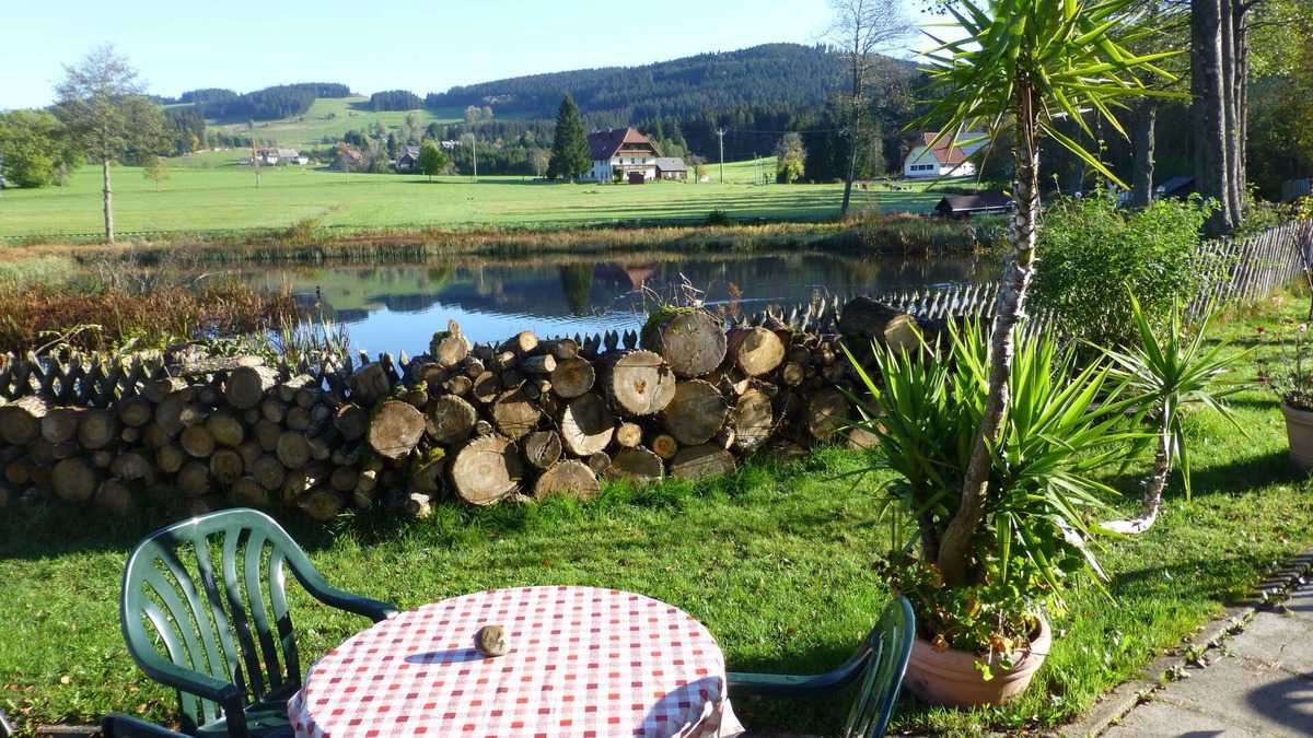 Breitnau House | Gasthaus Backhof-Helmle