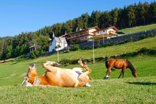 Collalbo Hotel | Gasthaus Bad Siess