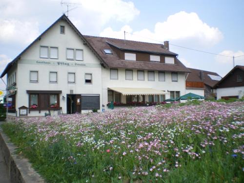 Aichhalden Bed & Breakfast | Gasthaus Pflug