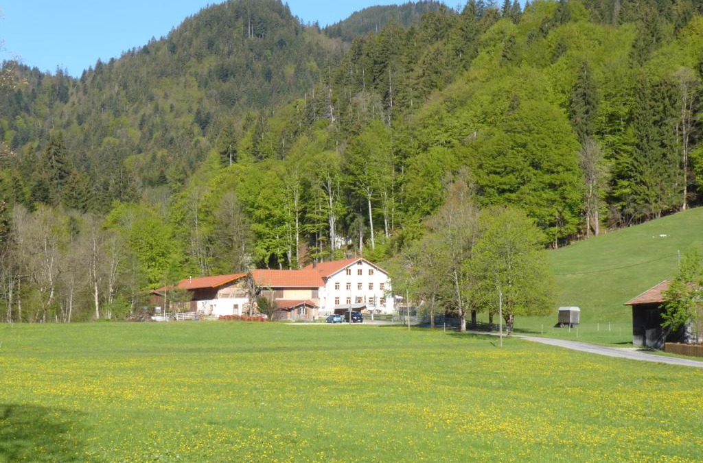 Pfronten Hotel | Gasthof Fallmühle