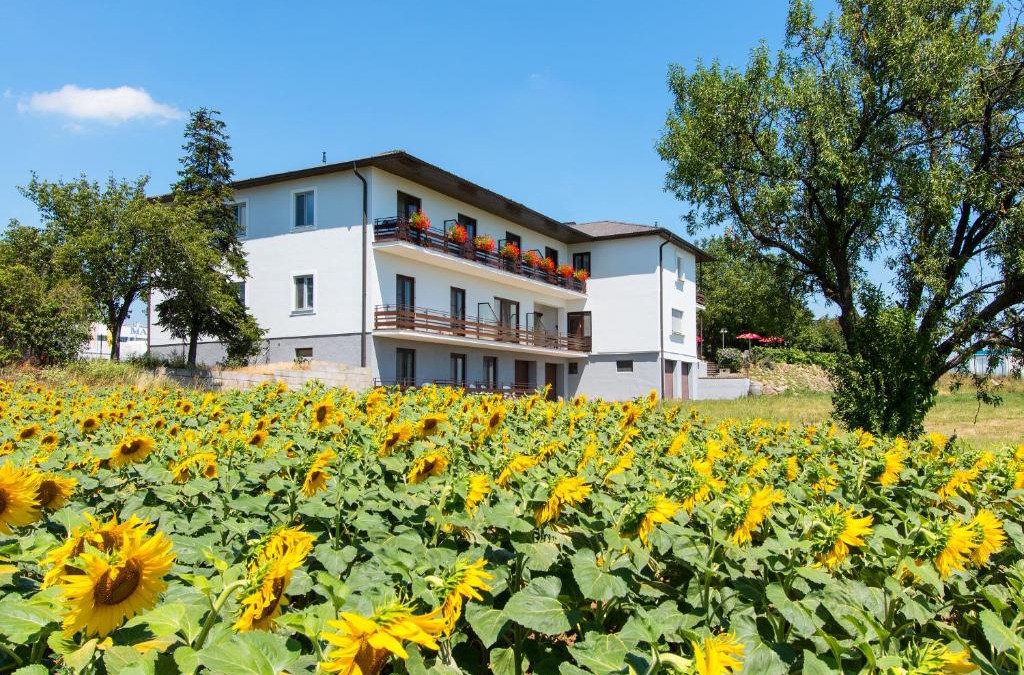 Breitenbrunn House | Gasthof-Pension Wein