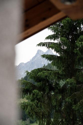 Werfenweng Hotel | Gasthof Schöntal