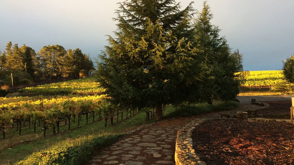 Sebastopol House | Gated Wine Country Estate Amid Hundreds of Acres of Vineyards
