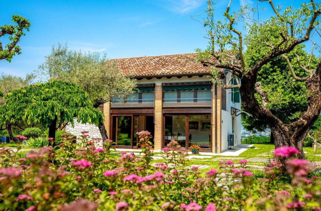 Susegana House | GATTO IN VIGNA