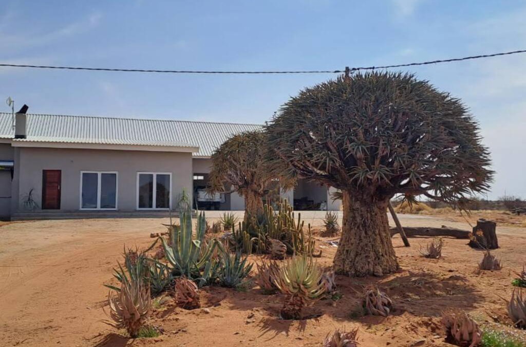 Kanoneiland House | Geelkop Plaashuis