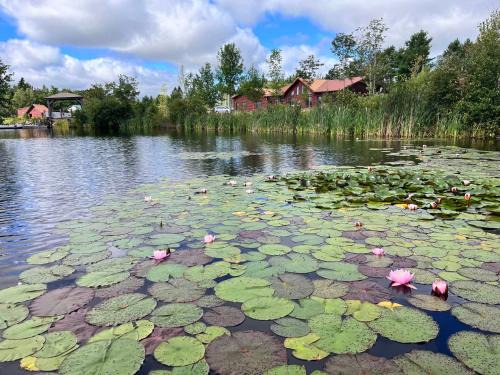 Harrington Villa | Geese Villa Log House