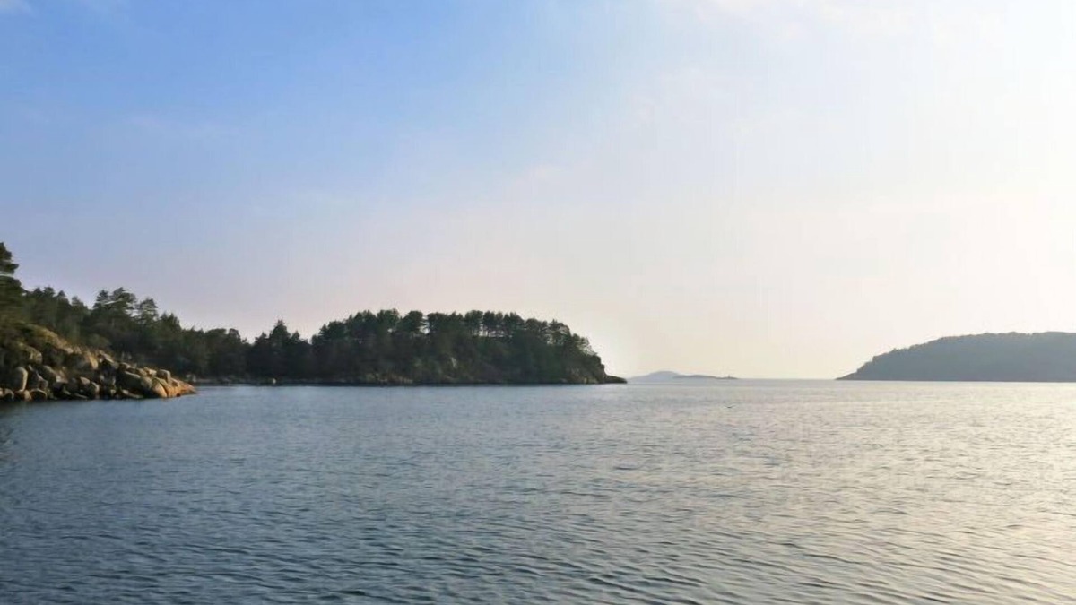 Sør-audnedal House | Geirbu by Interhome