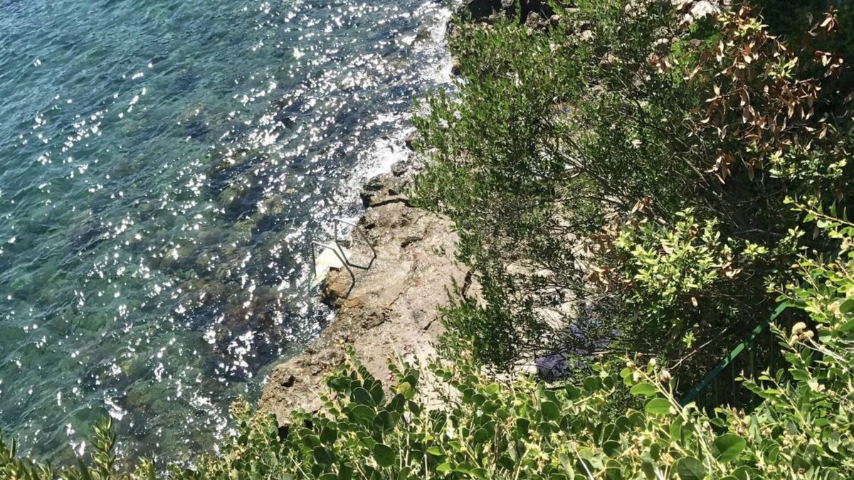 Ischia Porto Apartment | Gelso nero