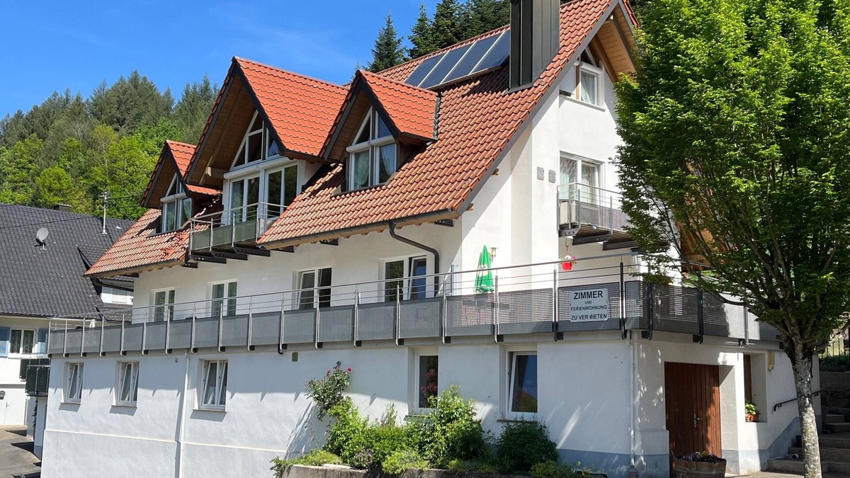 Wolfach Apartment | Gemütliche Ferienwohnung für 2-3 Personen mit Großer Sonnenterasse