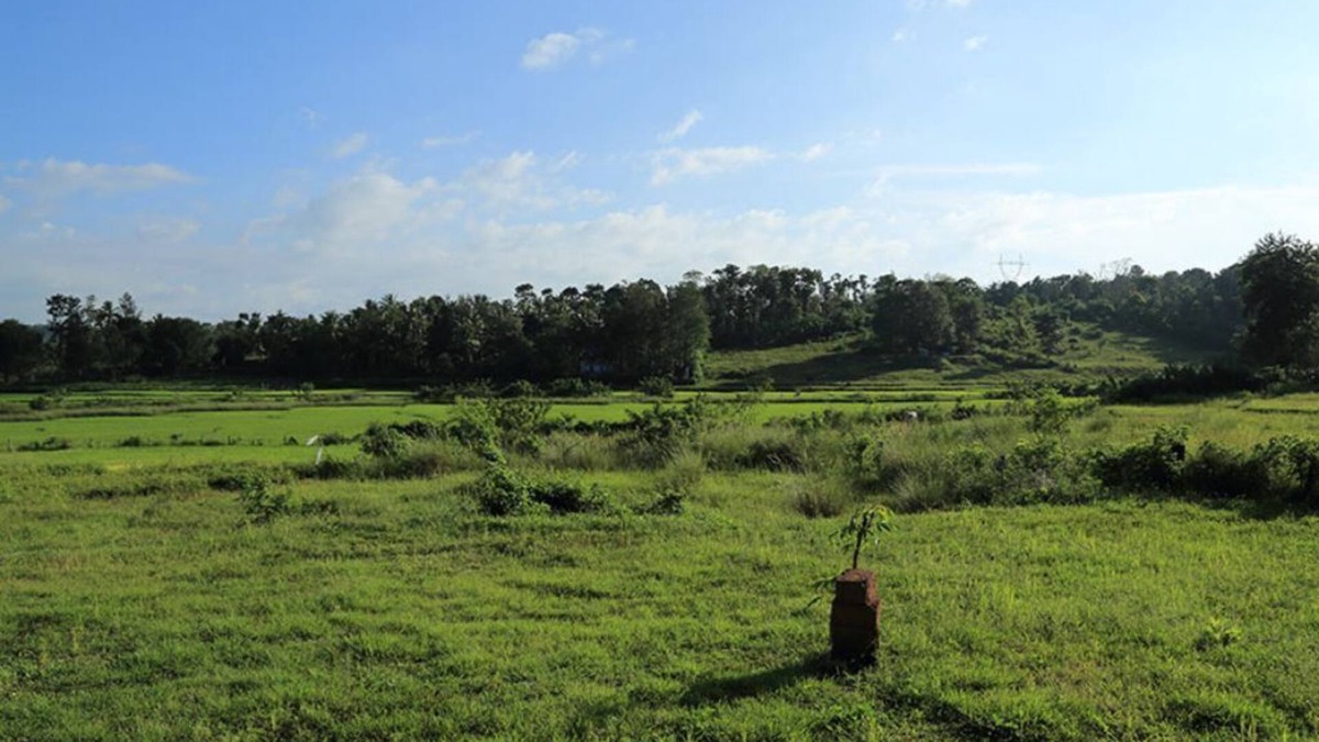 Kattikkulam Cottage | George's Cottage & Resort