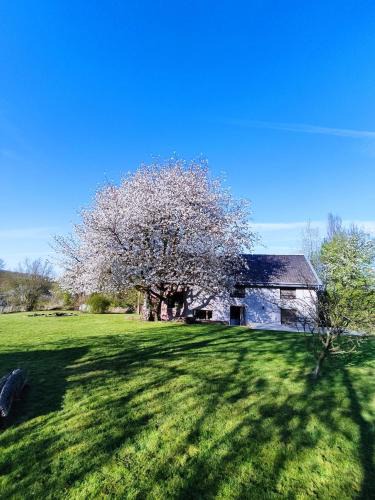 Longueville House | Gerestaureerde hoeve met zicht