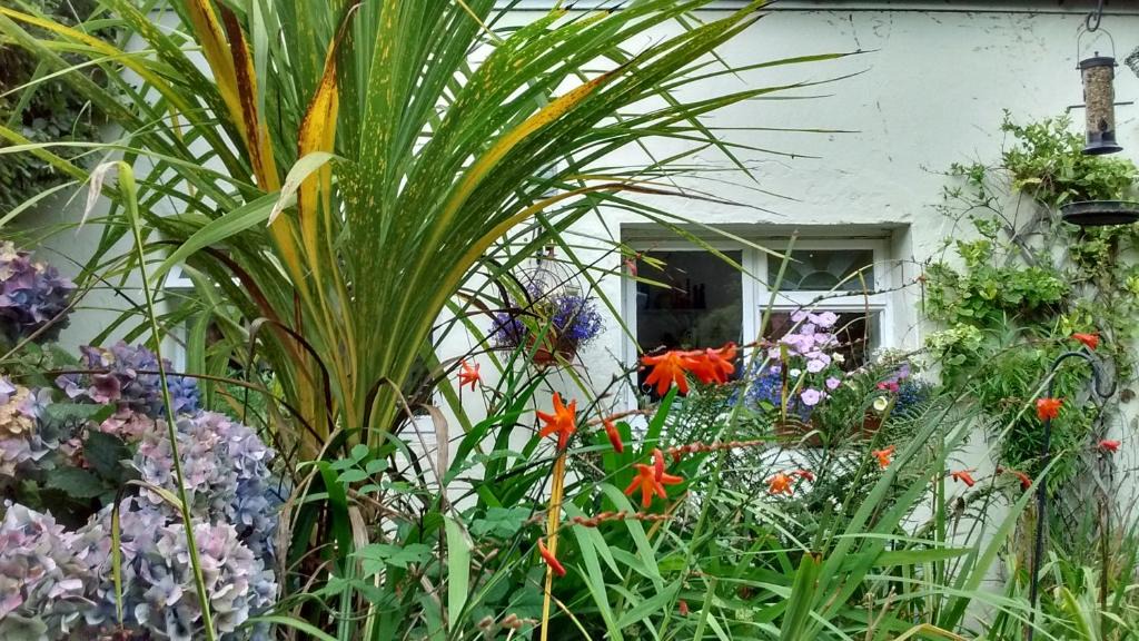 Llandyssiliogogo House | Gerynant