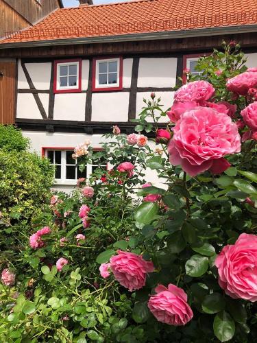 Bornecke House | Gesindehaus Bornecke