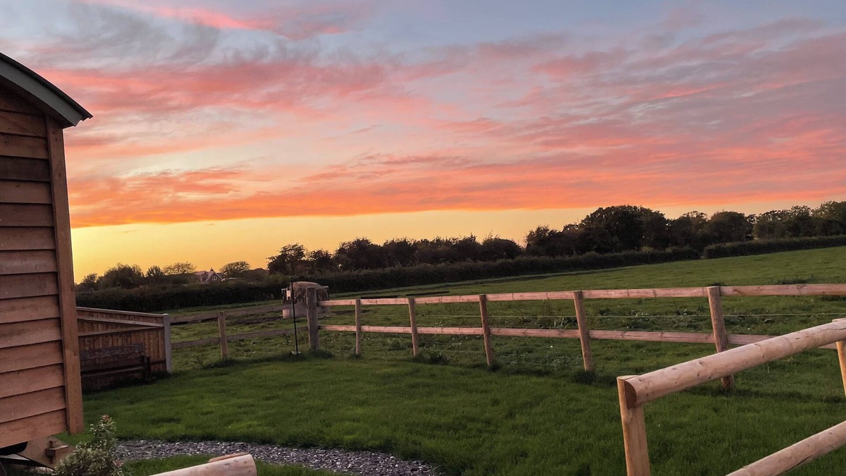 Hayling Island Cabin | 'Get Spooky' at The Hut on a working farm by the South Coast