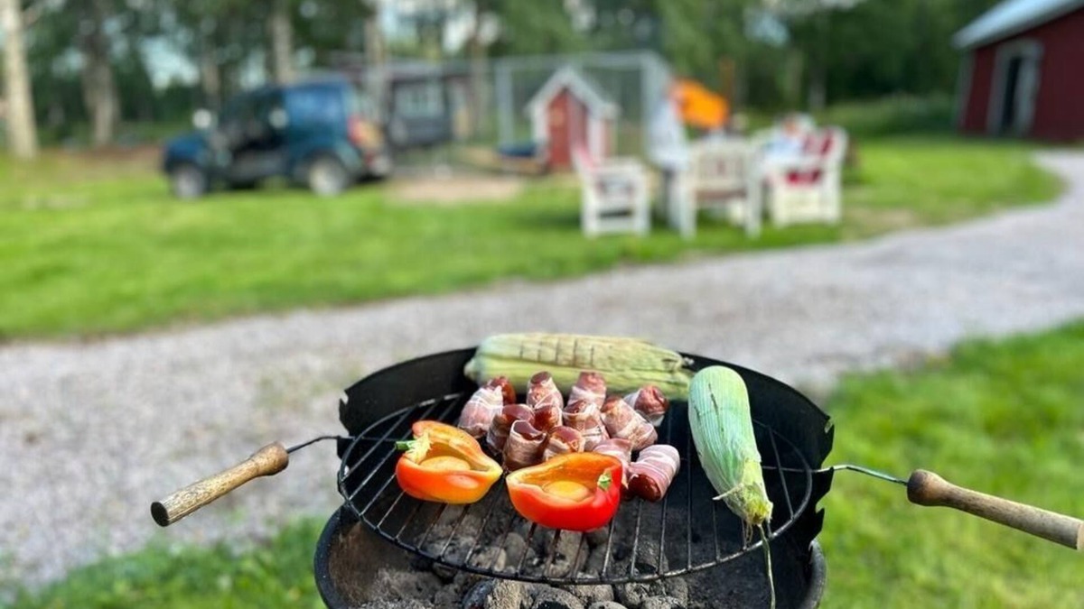 Hagfors Municipality Villa | Gezellig Zweeds Huis in het bos met Ruime Tuin